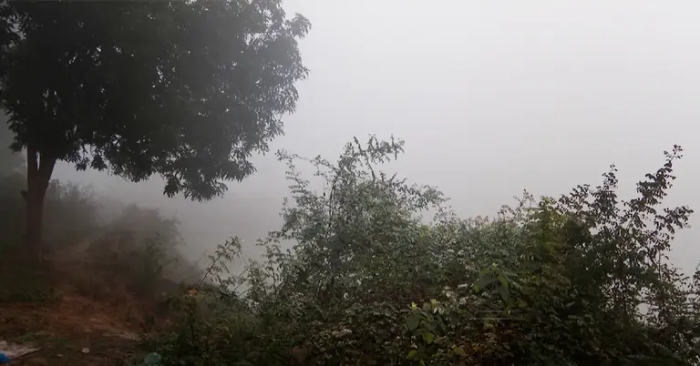 শীতকালের ছবি